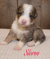 processed/25dec78e-2658-43ff-91c9-44296fca8aa7/listing/c9ab7d09-3ef8-494b-884a-7c10cc8c4f1e/2990734a-4fc0-4110-a682-23e4e39e1cb4