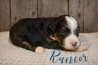 processed/25dec78e-2658-43ff-91c9-44296fca8aa7/listing/d1e36d7a-e998-4f98-925b-37ddfd9adb8f/bdbfead4-af74-4e1d-a1cc-5bc48a20a046