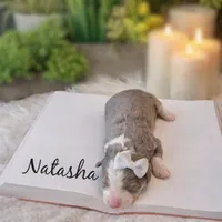 processed/25dec78e-2658-43ff-91c9-44296fca8aa7/listing/d986eccb-81b9-4097-b842-63dcfbf2ee50/94b5aca8-d2a4-4fe7-b936-8c93761cedda