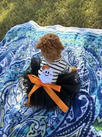 Princess , a female Poodle - Miniature  for sale in Houston, TX – 9 of 10