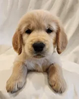 processed/25f38c8c-9198-4e2f-bfe2-fb742e1082ec/listing/34c16906-90cb-40ae-b5aa-a12a7c87c964/382f5410-0d18-42d6-acf4-59b4d2084cea