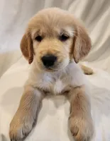 processed/25f38c8c-9198-4e2f-bfe2-fb742e1082ec/listing/34c16906-90cb-40ae-b5aa-a12a7c87c964/c9399a20-1231-4db2-a881-e1d039330321