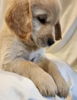 processed/25f38c8c-9198-4e2f-bfe2-fb742e1082ec/listing/34c16906-90cb-40ae-b5aa-a12a7c87c964/ddc42f7e-68be-4aaa-9f5a-3831dc4ad1f3