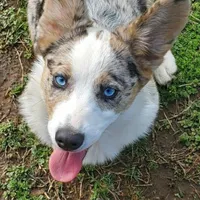 processed/25fa8c17-36cc-4f1e-aa87-d5b35e434e2e/facility/0c785ae1-fd5a-46e0-ad53-1326d1948da0