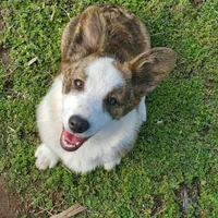 processed/25fa8c17-36cc-4f1e-aa87-d5b35e434e2e/facility/1b27920b-b429-4461-8f51-2c62bcc2dcd7