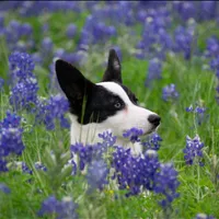 processed/25fa8c17-36cc-4f1e-aa87-d5b35e434e2e/facility/29c5e6f0-4ece-44d1-9652-4c255ee4ea5c