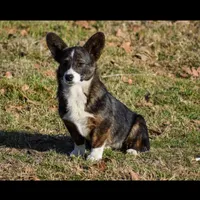 processed/25fa8c17-36cc-4f1e-aa87-d5b35e434e2e/facility/7ecab94b-0c3d-474b-b38b-6e11c4688992