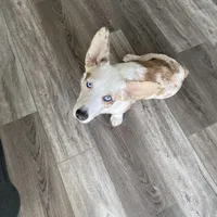 processed/25fa8c17-36cc-4f1e-aa87-d5b35e434e2e/facility/adae2517-4a0c-469a-addd-6a05fe4ab6a0