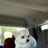 processed/25fa8c17-36cc-4f1e-aa87-d5b35e434e2e/facility/c1d02416-65bb-4d16-951f-848776086141