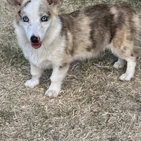 processed/25fa8c17-36cc-4f1e-aa87-d5b35e434e2e/facility/cd4fb8ef-3fb4-4929-929c-679022d3cec4