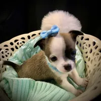 processed/25fa8c17-36cc-4f1e-aa87-d5b35e434e2e/facility/f8527476-37db-4449-9922-a0f155b2bd60