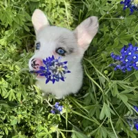 processed/25fa8c17-36cc-4f1e-aa87-d5b35e434e2e/facility/f863547b-294c-4388-8035-e73a7cbe0682