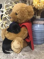 Shadow, a female Chihuahua and Pekingese for sale in Hendrix, OK – 6 of 6