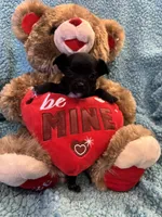 processed/25fa8c17-36cc-4f1e-aa87-d5b35e434e2e/listing/1b4453ce-d39d-4936-ba52-59046503ebec/3d31acb8-ec68-477f-8138-397b15fed4c7