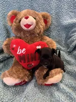 processed/25fa8c17-36cc-4f1e-aa87-d5b35e434e2e/listing/1b4453ce-d39d-4936-ba52-59046503ebec/930f3cb4-3d72-450a-b365-f74b1f5b3b6b