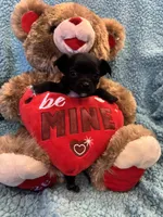 processed/25fa8c17-36cc-4f1e-aa87-d5b35e434e2e/listing/1b4453ce-d39d-4936-ba52-59046503ebec/b68dde10-b24b-48ee-8102-7d9ff0f58331