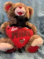 processed/25fa8c17-36cc-4f1e-aa87-d5b35e434e2e/listing/1b4453ce-d39d-4936-ba52-59046503ebec/c191476a-7a6a-42d0-ba09-9a44dc7030da