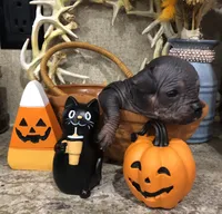 Vinny, a male Chihuahua and Pekingese for sale in Hendrix, OK – 4 of 5
