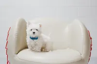 processed/25fc0c66-614a-477f-8d82-cfb5c45465c9/listing/933bd0e9-7f9e-43e1-8aa9-1538ac2541c4/32a3fbe7-1264-4674-83c7-42940c3ca200