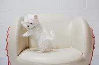 processed/25fc0c66-614a-477f-8d82-cfb5c45465c9/listing/933bd0e9-7f9e-43e1-8aa9-1538ac2541c4/5b426263-1457-417c-831e-54c90102f277