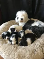 processed/260b4456-4bdd-4d7b-aa9d-e9ed6643b6a4/facility/36734be4-c2d8-42fa-8ea8-516197133b57