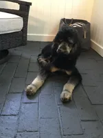 processed/260b4456-4bdd-4d7b-aa9d-e9ed6643b6a4/facility/3778f387-c0bc-4d60-9344-416303b042e0