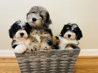 processed/260b4456-4bdd-4d7b-aa9d-e9ed6643b6a4/facility/59d73f2d-a882-455d-9e47-b45f6cce820c