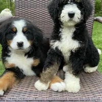 processed/260b4456-4bdd-4d7b-aa9d-e9ed6643b6a4/facility/aef61cb2-a6fe-4aeb-8601-a92a0a32d677