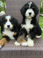 processed/260b4456-4bdd-4d7b-aa9d-e9ed6643b6a4/facility/aef61cb2-a6fe-4aeb-8601-a92a0a32d677