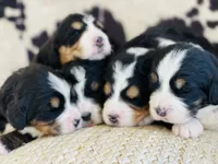 processed/260b4456-4bdd-4d7b-aa9d-e9ed6643b6a4/facility/ea384c10-f2f1-4775-b77d-e3d7f3ee036b