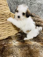 processed/260b4456-4bdd-4d7b-aa9d-e9ed6643b6a4/listing/097e73eb-247f-4141-afc0-5c2f8e1fd166/21e97bea-f038-4f08-b5a5-0b5b00dfce5d