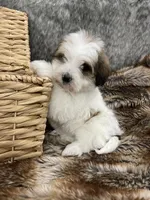 processed/260b4456-4bdd-4d7b-aa9d-e9ed6643b6a4/listing/097e73eb-247f-4141-afc0-5c2f8e1fd166/7b39390d-b5e5-42d8-8f36-a272d6704f8d