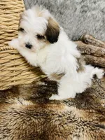 processed/260b4456-4bdd-4d7b-aa9d-e9ed6643b6a4/listing/097e73eb-247f-4141-afc0-5c2f8e1fd166/d06dc614-c272-4cbf-8158-d4654e917aba