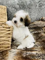 processed/260b4456-4bdd-4d7b-aa9d-e9ed6643b6a4/listing/097e73eb-247f-4141-afc0-5c2f8e1fd166/d2d428bb-653a-4a6d-a484-994ead6be60d