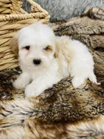 processed/260b4456-4bdd-4d7b-aa9d-e9ed6643b6a4/listing/4ac8c926-1e38-4165-beac-f9fc6890947e/402b0f5f-d93b-4687-9635-c3bd3e13805b