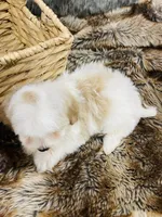 processed/260b4456-4bdd-4d7b-aa9d-e9ed6643b6a4/listing/4ac8c926-1e38-4165-beac-f9fc6890947e/59d2c7fb-86cc-4b3e-ad17-c98a79c2bb2a