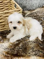 processed/260b4456-4bdd-4d7b-aa9d-e9ed6643b6a4/listing/4ac8c926-1e38-4165-beac-f9fc6890947e/9af6dc47-55f5-4491-afd4-9037d1695ab2