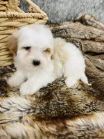 processed/260b4456-4bdd-4d7b-aa9d-e9ed6643b6a4/listing/4ac8c926-1e38-4165-beac-f9fc6890947e/b5cff06a-ebfa-4029-af33-42aef72250fc