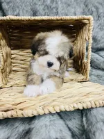 processed/260b4456-4bdd-4d7b-aa9d-e9ed6643b6a4/listing/ef4194ef-8405-4aa7-8dd3-48279ee27cc3/07b0f8fd-aff9-490f-a111-c3c9c75c0c08