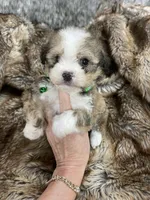 processed/260b4456-4bdd-4d7b-aa9d-e9ed6643b6a4/listing/ef4194ef-8405-4aa7-8dd3-48279ee27cc3/343b93ff-8654-4109-967e-10cba6511985