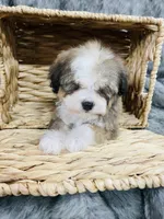 processed/260b4456-4bdd-4d7b-aa9d-e9ed6643b6a4/listing/ef4194ef-8405-4aa7-8dd3-48279ee27cc3/4268a094-50f8-429f-b93c-f5d49f2e70ff