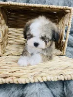 processed/260b4456-4bdd-4d7b-aa9d-e9ed6643b6a4/listing/ef4194ef-8405-4aa7-8dd3-48279ee27cc3/4682f420-fd50-483d-a85b-956b1105ba3d