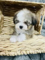 processed/260b4456-4bdd-4d7b-aa9d-e9ed6643b6a4/listing/ef4194ef-8405-4aa7-8dd3-48279ee27cc3/66862f96-cc60-4811-b007-90ec858b6033