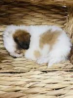 processed/260b4456-4bdd-4d7b-aa9d-e9ed6643b6a4/listing/fa6fb4af-944f-4688-ae0b-502f61422757/10f39ca1-cb05-49fb-ae79-3e344428edcc