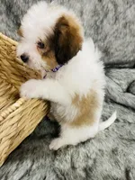 processed/260b4456-4bdd-4d7b-aa9d-e9ed6643b6a4/listing/fa6fb4af-944f-4688-ae0b-502f61422757/a8a27d77-ddff-405c-8eb3-7d51c712c772