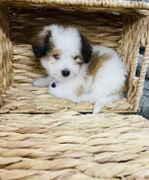 processed/260b4456-4bdd-4d7b-aa9d-e9ed6643b6a4/listing/fa6fb4af-944f-4688-ae0b-502f61422757/e226765c-b365-4af8-98cb-3eca09625b4c