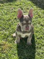 processed/262d887e-1382-4e8c-95d0-a8c76f93bcc0/listing/410e8659-72b5-443a-b92a-7f3d9888ea9e/4cf415fc-b8b4-478d-860e-b809b0d4a9c7