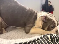 processed/262eab00-0933-42f3-96f1-e2bd23bfe764/listing/202d5a3c-f90c-44f2-a12d-41574913aa3e/c8101232-a057-46d7-b64d-a4e0a47903fb