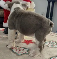 processed/262eab00-0933-42f3-96f1-e2bd23bfe764/listing/202d5a3c-f90c-44f2-a12d-41574913aa3e/c8304e34-3a20-4879-a2eb-088ea83969f2