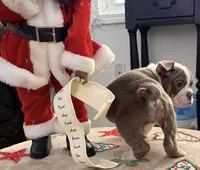 processed/262eab00-0933-42f3-96f1-e2bd23bfe764/listing/202d5a3c-f90c-44f2-a12d-41574913aa3e/f89a52e8-7f31-42f8-b913-39fe2f117ca6